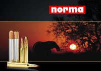 Norma / Golden Target 6,5x55 SE FMJ / 8,4 g / 130 grs